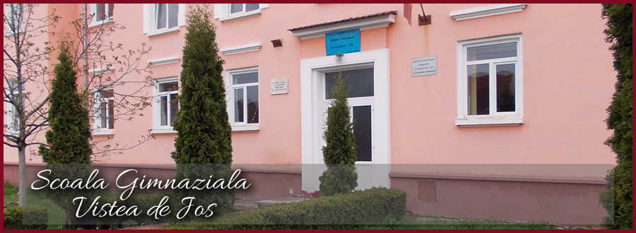 Scoala Gimnaziala Vistea de Jos